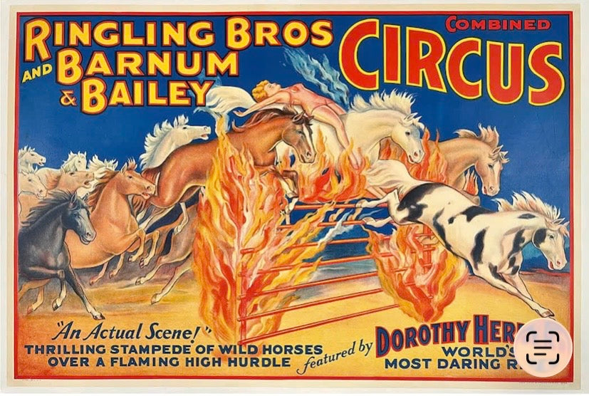 How I Plan To Harness Fire Horse Energy Without Being Consumed By It