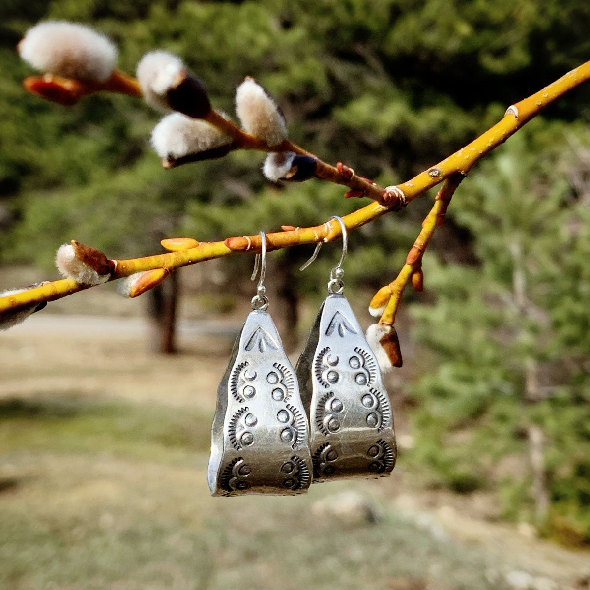 Silver earrings hanging from a branch with buds